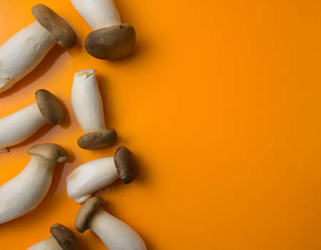 Eatable eringi, king trumpet, french horn mushroom flat lay on yellow background with free space. Top view, vivid color, no people horizontal image style. For your food, eating, still life design.の写真素材