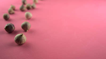 Garlic on acrylic scratchy pink canvas background. Food, kitchen, eating photography with copy space.の写真素材