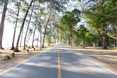 road through the seaside