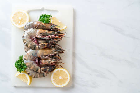 fresh tiger prawn or shrimpの写真素材