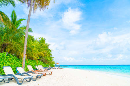 beach chair with tropical Maldives resort hotel island and seaの写真素材