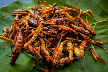 fried grasshopper or belalang goreng is traditional food from southeast asia, served with sambal, onion, garlic, chili on wood backgroundの素材