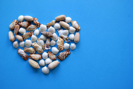 A heart from different seashells on the blue background for Valentine's Day.の素材