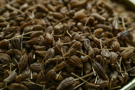 close-up of group of anise seeds in grainの素材