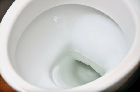 A photograph of a white ceramic toilet bowl in the dressing room or bathroom. Ceramic sanitary ware for correction of needの素材