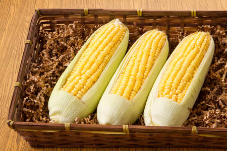 Corn in basketの写真素材