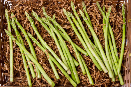 Bunch of fresh green asparagus on brown shredded paperの写真素材