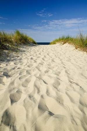 sand beach landscape on Usedom island in Germanyの写真素材
