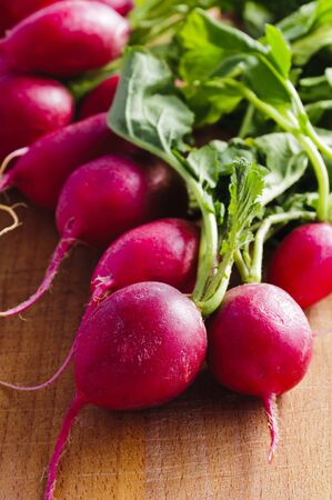 background with fresh organic radishの写真素材