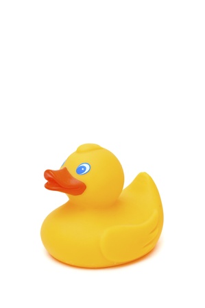 yellow rubber toy duckの写真素材