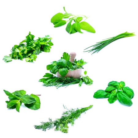 fresh herbs collection with mortar and pestle isolated on a white backgroundの写真素材