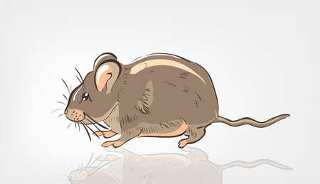 Cartoon Rat . Clip-art, Illustration.のイラスト素材