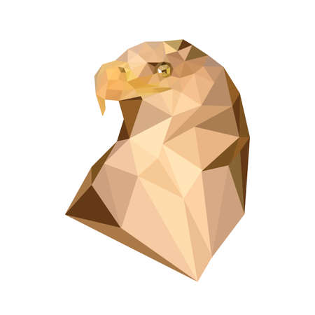 Illustration of geometric polygonal royal eagle portrait on white backgroundのイラスト素材