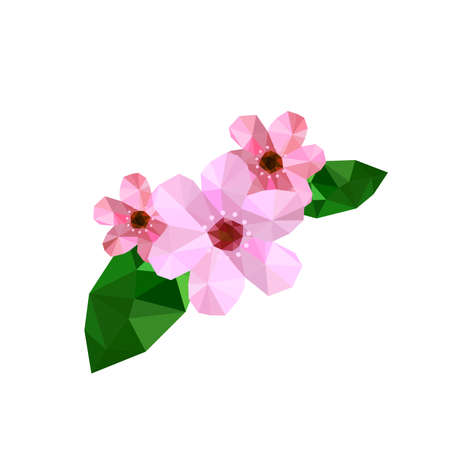 Illustration of beautiful origami cherry blossom isolated on white backgroundのイラスト素材