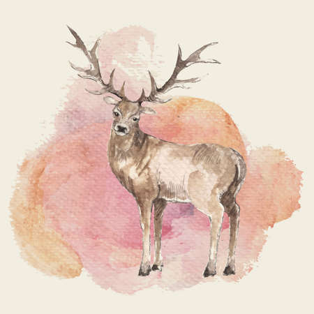 Illustration of hand drawn deer with watercolor backgroundのイラスト素材