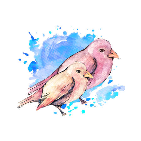 Illustration of hand drawn birds with blue watercolor backgroundのイラスト素材