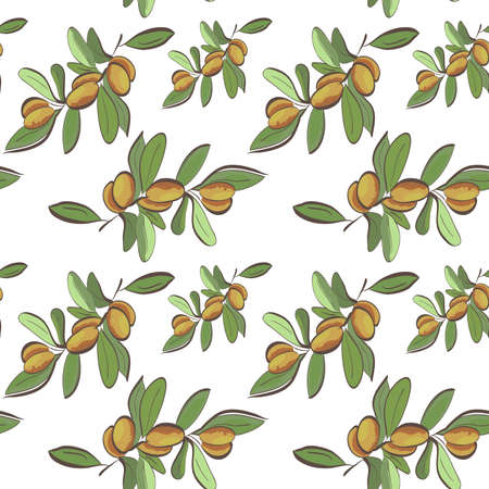 Seamless flat argan fruits pattern on white backgroundのイラスト素材