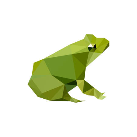 Illustration of modern flat design with origami frog, isolated on white backgroundのイラスト素材