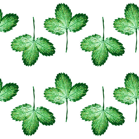 Seamless pattern with engraved strawberry leaves on white backgroundのイラスト素材