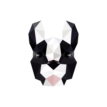 Modern flat design with origami french bulldog isolated on white backgroundのイラスト素材