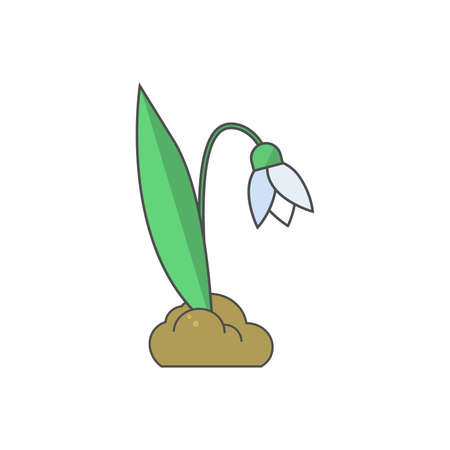 Modern flat design with simple snowdrop isolated on white backgroundのイラスト素材