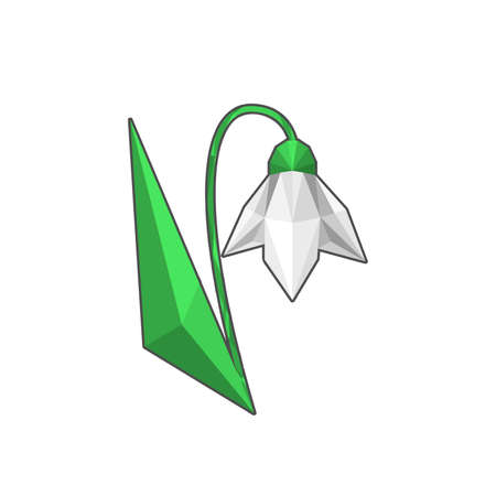 Illustration with modern polygonal snowdrop isolated on white backgroundのイラスト素材