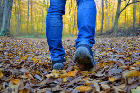 A man walks on autumn leaves through the forest. Walking in nature, hiking and beautiful scenery. Healthy life.の写真素材