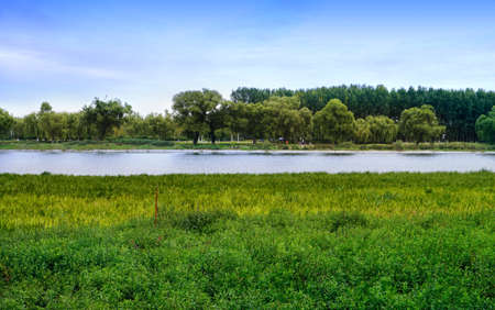 Scenic view of a park with riverの写真素材