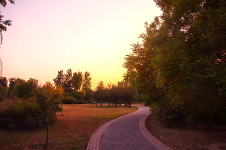 Evening tortuous path