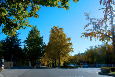 Autumn streetのeditorial素材