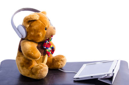 brown bearの写真素材