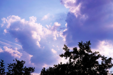 summer clouds