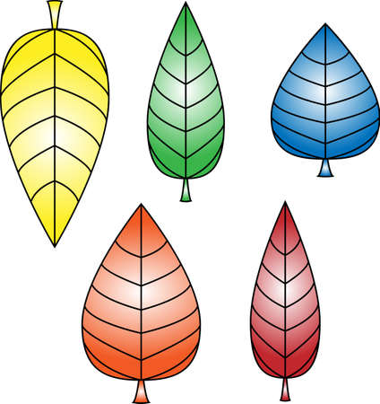 Colored leafsのイラスト素材