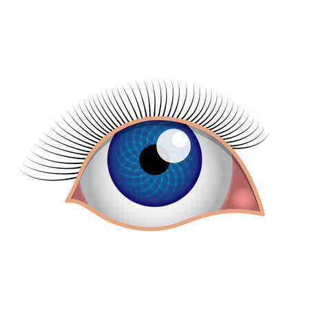 Eye, blue eye with eyelashes, a simple realistic drawing with shadows reflections and glare, white background, isolated object.のイラスト素材