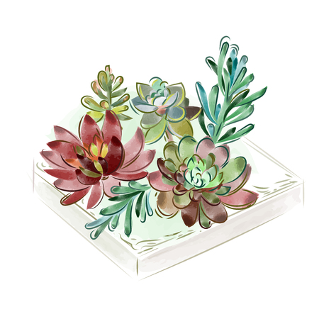 Vector illustration. Watercolor collection of succulents for design, hand-drawn.のイラスト素材