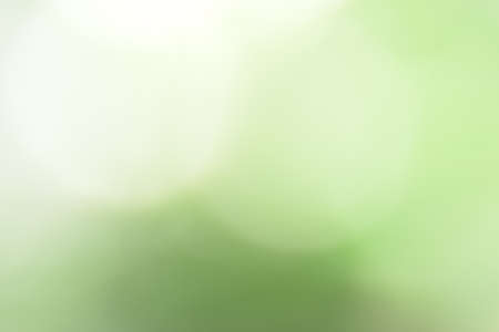 Colors of natureの写真素材