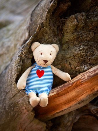 toy in dry treeの写真素材