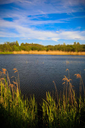 field and skyの写真素材