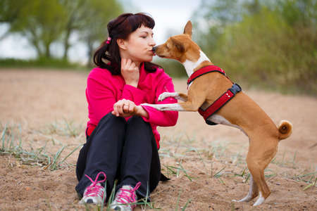 Basenji dogの写真素材