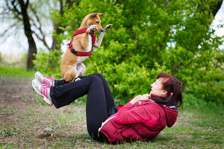 Basenji dogの写真素材