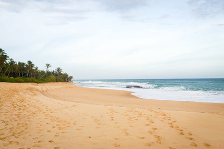 sri-lanka landscapeの写真素材