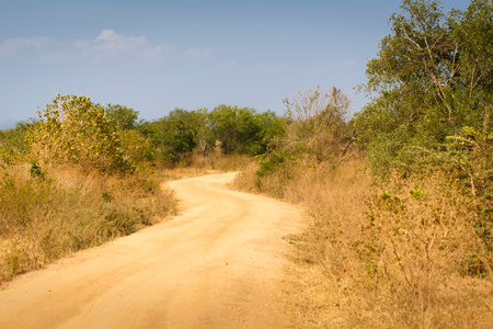 sri lanka landscapeの写真素材