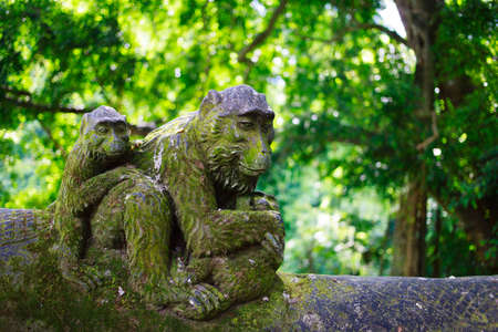bali monkeyの写真素材