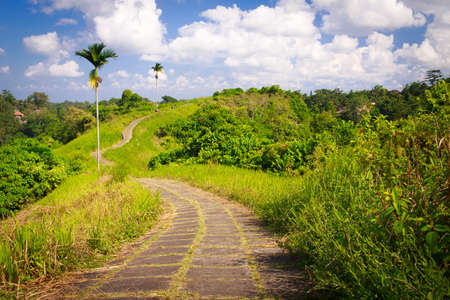 bali landscapeの写真素材