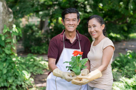 Portrait of a retired couple holding a flowerpot and looking at cameraの写真素材