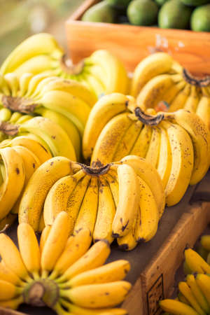 Vertical image of bunches of ripe bananas on the fruit stallの写真素材