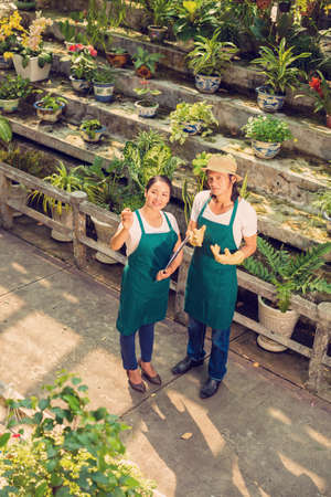 Two selectionists of Asian ethnicity discussing new sorts of plants in the greenhouseの写真素材