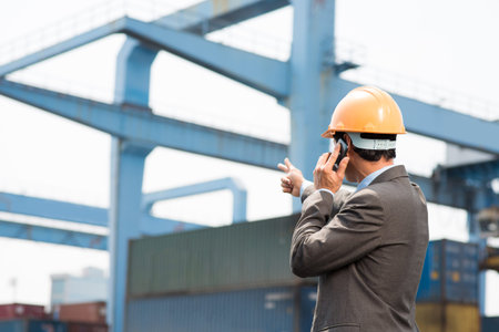 Back view of a port inspector pointing at the object while talking by cellphone