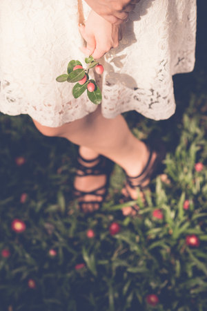 Close-up of woman holding  branch of berries, view from above