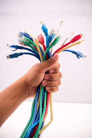 Hand holding coloured internet cablesの写真素材